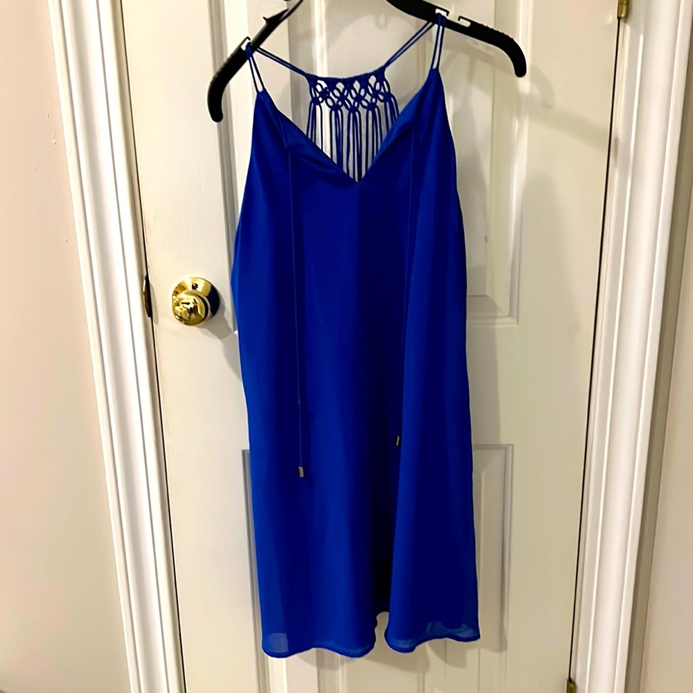 Naked Zebra royal blue